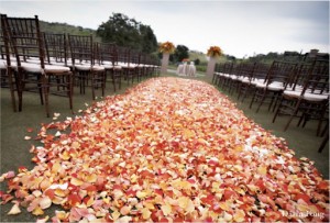 fall-petal-path