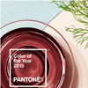 Pantone Colour of the Year 2015: Marsala